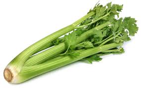 Celery |ˈsɛləri|noun  mass noun a cultivated plant of the parsley family, with closely packed succulent leaf stalks which are used as a salad or cooked veg. How To Say Celery In Italian What Is The Meaning Of Sedano Ouino