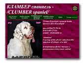 If you're considering adopting a cocker spaniel puppy, make sure you understand this breed's special health considerations. Clumber Spaniel Breeders And Kennels Eurobreeder Com