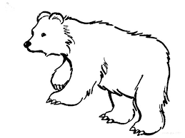 Cat and dog coloring pages. Hairy Brown Bear Coloring Pages Best Place To Color