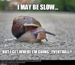 Snail Pretty Animals Animals