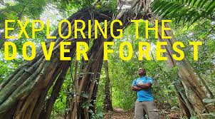 Maine forest service forest health & monitoring may 13, 2020 maine btm risk area Exploring The Dover Forest Sgtrek