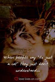  50 Beautiful Loss Of Pet Quotes Pet Quotes Cat Cat Quotes Pet Loss Quotes