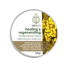 Image result for Helichrysum helvolum