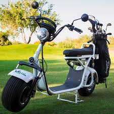 We have brainstormed several questions that you would require answers for when it comes to the best putter holder tube for golf bags in 2020. Fat Tire Electric Golf Scooter At Intheholegolf Com