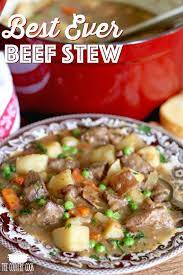 One Pot Best Ever Beef Stew Recipe Beef Stew Recipe Stew Recipes Stew Meat Recipes