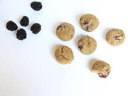 We are debating on using dehydrated dog food such as honest kitchen. Pin By Simply Scrumptious On Www Sarahshealthykitchen Com Healthy Kitchen Dog Food Recipes Healthy