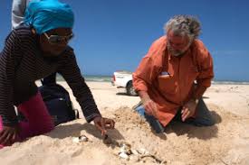 Newtydreads wrote 5 years ago. Fretey Jacques Faune Sauvage