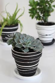 2,406 cactus pot stock video clips in 4k and hd for creative projects. We Can Make Anything Pot Painting With Rubber Bands
