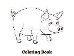Ilustracao Educacional Dos Desenhos Animados Do Porco Do Livro Para Colorir Ilustracao Do Vetor Ilustracao De Cerca Mola 60980733