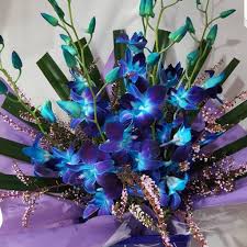 Same day delivery, send flowers today. Flowers R Us Craigmore 240 Yorktown Rd Craigmore Sa 5114 Australia