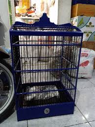 Bonus sangkar ini berupa gantungan besi, dua tangkringan, tempat makan dan minum burung, serta kunci kandang. Kandang Kotak Original Ebod Jaya No 3 Sangkar Burung Kenari Shopee Indonesia