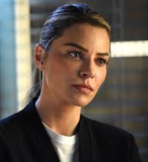 The Dark Wives (Vera Stanhope, #11) by Ann Cleeves