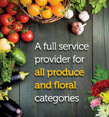 Our vendor partners rely on us to effectively bring their products to market. Procacci Brothers