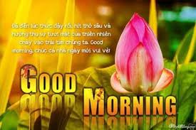 tạo thiệp chao ngay mới đẹp lung linh y nghĩa nghĩa thiệp cuộc sống bưởi