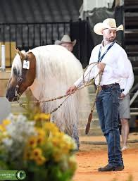 Последние твиты от doubledanhorsemen (@doubledanhorses). Facebook