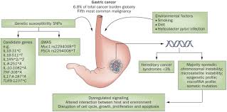 Testicular cancer is strongly associated with excessive masturbation. Genetics Of Gastric Cancer Nature Reviews Gastroenterology Hepatology