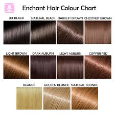 28 albums of global hair colour chart explore thousands