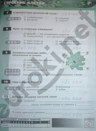 гдз по биологии 5 класс пасечник рабочая тетрадь 2018 Gdz Rabochej Tetradi Po Biologii 6 Klass Pchelka Prakard