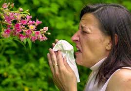 Für Allergiker ist Basel jetzt die Pollen-Hölle