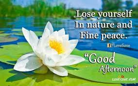 I fill so empty and you alone can fill that empty space the angel of my life. Good Afternoon Quotes And Messages For Her And Him