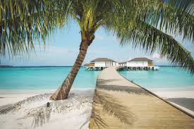 It's truly wild how gorgeous the if either of you harbored fantasies as a child of becoming a marine biologist, this is the place for you. Affordable Luxury Honeymoon Destinations Wedding Ideas Magazine