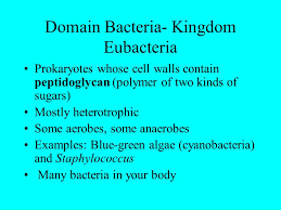 Standard Ix Five And Six Kingdom Classifications 2 Questions Ppt Video Online Download