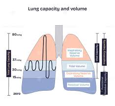 Image result for Vital Capacity