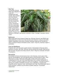 These plants can be common or rare within their environment, but they are all found within the tropical rainforests. Plant Adaptations Conservatory Of Flowers Pages 1 16 Flip Pdf Download Fliphtml5