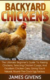 How To Take Care Of Chickens Back Roads Living Chickens Backyard Chickens Raising Chickens