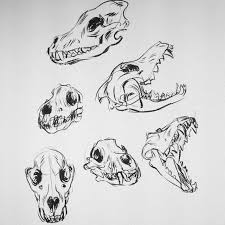 Denae On Instagram Been Home Sick The Past Few Days So Drawing Wolf Skulls To Keep Me Sane Animal Skull Drawing Skulls Drawing Dog Skull