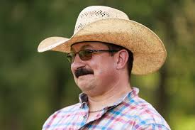 Conservation grazing' uses cattle to preserve species and landscapes