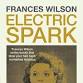 Event 21 | Frances Wilson | Electric Spark event image