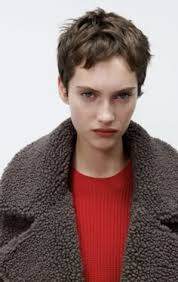 leo bernstein (leobernstein04)