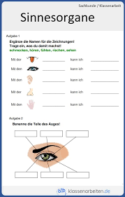 Unserer ausmalbilder bieten wir ihnen im pdf format zum gratis download an. Kostenlose Sachkunde Arbeit Zum Ausdrucken Das Material Enthalt Aufgaben Mit Losungen Zur Vorbereitung Auf Deine Sach Sachkunde Klassenarbeiten Bildungsniveau