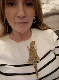 Hello, my dog is 1 year old golden retriever. about two weeks ago my dog  started breathing heavily all the time and lost almost all appetite. he  refused to eat no matter