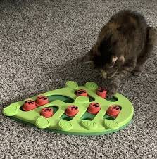 Cat toy, food dispenser treat toys, slow cat toy feeder pet food treat ball, tumbler style training toy with dual rolling balls, green. 17 Puzzles On Amazon That Actually Challenge Cats