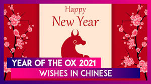 Cebu, philippines — last february 5, the chinese all over the world greeted one another xin nián kuài lè (happy new year) for the year of the pig. Year Of The Ox 2021 Wishes In Chinese Wish Xin Nian Kuai Le To Family Friends Celebrating Cny Youtube