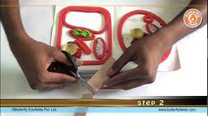 Worldwide, only about a fifth of all electronic waste is recycled, according to a 2017 un report. Make Plant And Animal Cell Model Using Simple Materials Science Projects Butterfly Fields Youtube