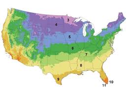 Growing Zone Finder Find Your Grow Zone Climate Burpee