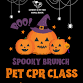 Spooky Brunch - Pet CPR Class event image