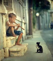 Music Hath Charms To Soothe The Savage Beast Cute Animals Animals Street Photography