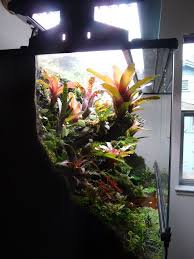 Revolutions 36x18x24 Exo Terra Update Dendroboard Exo Terra Vivarium Dart Frog Terrarium Frog Terrarium