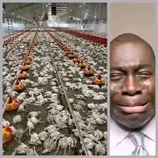 Usipite bila kuambiya mkulima pole😢😢