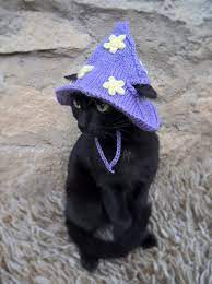 Purple Wizard Cat Hat Wizard Hat For Cat Wizard Hat For Cats Costume For Cats Hats For Cats Halloween Cat Costume Cat Accessories In 2021 Hat For Cat Pretty Cats Hats