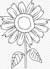 Indah dandelion bunga matahari desain kartun kreatif menyesuaikan. Putih Hitam Dan Putih Hitam Gambar Png