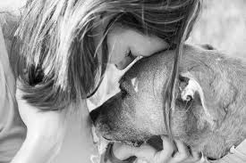 Acc of nyc dog euthanasia price is $125. Mobile Pet Euthanasia Services Heart In Home Vet