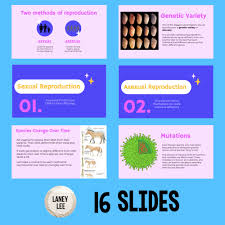 Evolution by natural selection leads to adaptation within a population. Evolution Natural Selection Presentation Google Slides Laney Lee