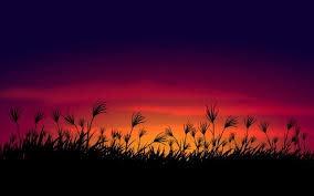 Check spelling or type a new query. Imagenes De Cielo Atardecer Vectores Fotos De Stock Y Psd Gratuitos