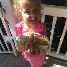 Global Running Day. A full day of my eats. (+does speedwork