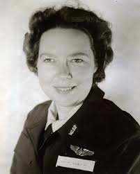 WASP Grey Allison Hoyt Dunlap